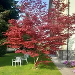 Bed and Breakfast Il Castagno