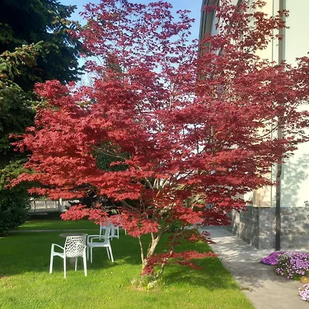 Bed and Breakfast Il Castagno