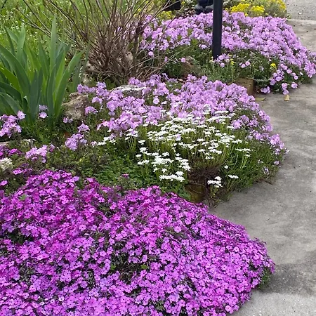 Il Castagno Отель типа 