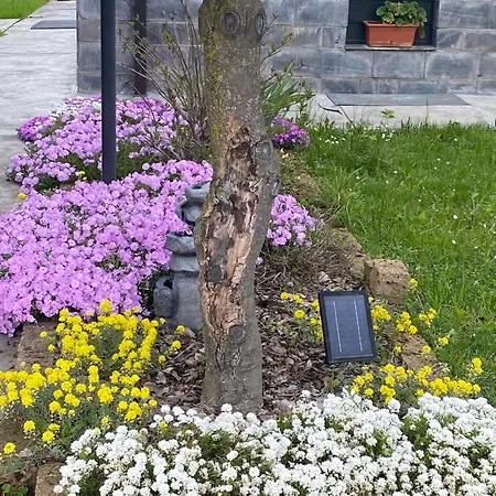 Il Castagno Отель типа 