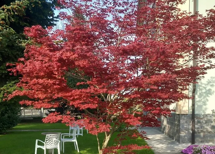 Frühstückspension Il Castagno