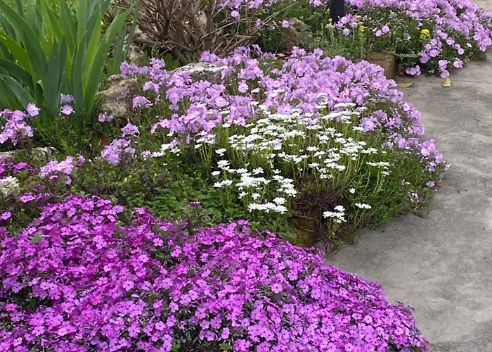 Il Castagno Frühstückspension