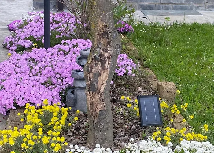 Il Castagno Frühstückspension Roccavione